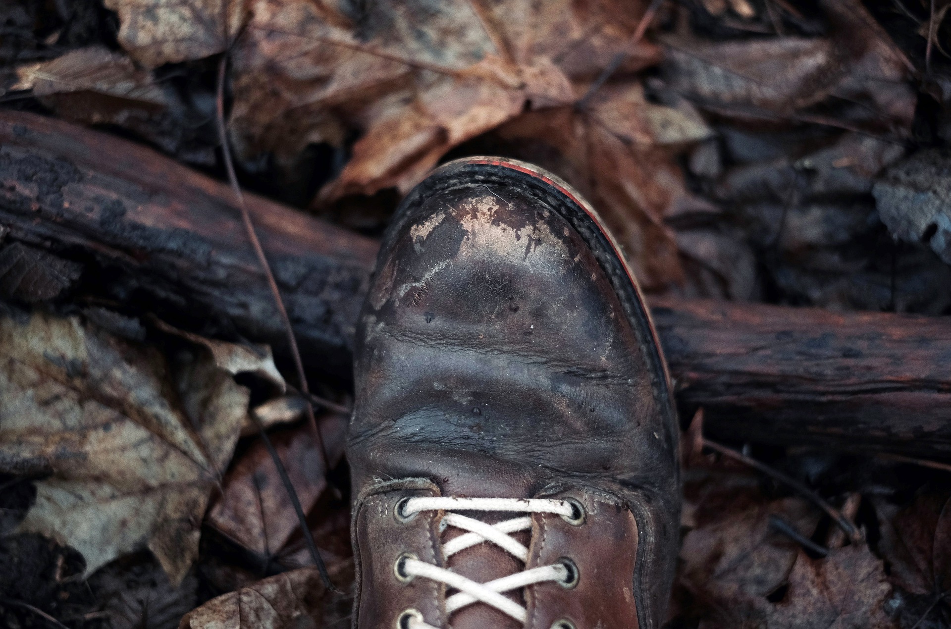 bota v blate